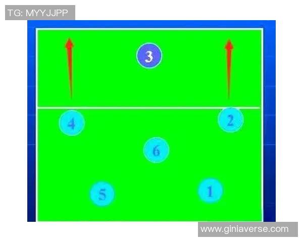 武汉排球队的战术节奏分析与未来发展方向探讨