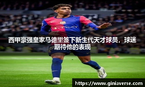 BB贝博登录入口