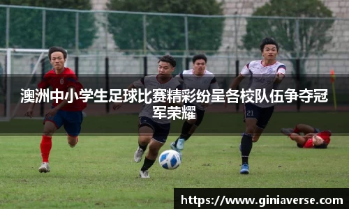 澳洲中小学生足球比赛精彩纷呈各校队伍争夺冠军荣耀