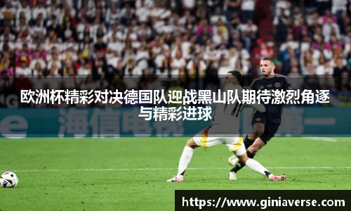 BB贝博登录入口