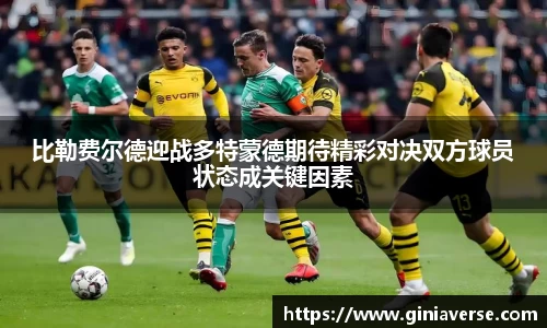 BB贝博ballbet
